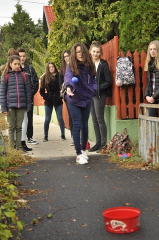 Csibetábor az Aranyban 13